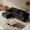Facing Left-Black, variant on 108" Cloud Sectional Couch, Compressed Modular Sectional Sofa with Deep Seat, 3-Seat Corduroy Boneless Couche, L-Shaped Sectional Couches for Living Room, Right Facing Chaise, Black
