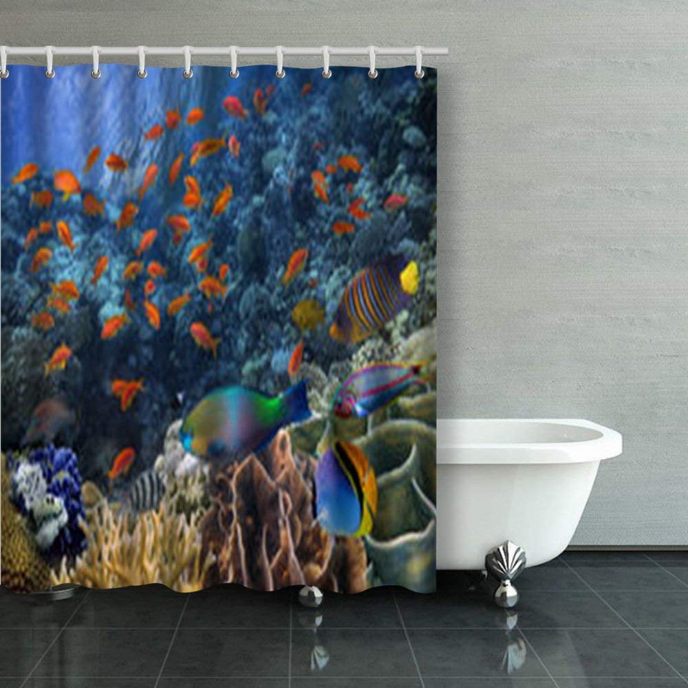 RYLABLUE Photo Tropical Fish On Coral Reef Ocean Animal Landscape