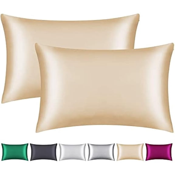 Eryueer Pack of 2 100% Mulberry Silk Pillowcases, Great for Hair and Skin with Hidden Zipper, 22 Momme Natural Silk Pillow Case on Both Sides, Soft, Breathable and
