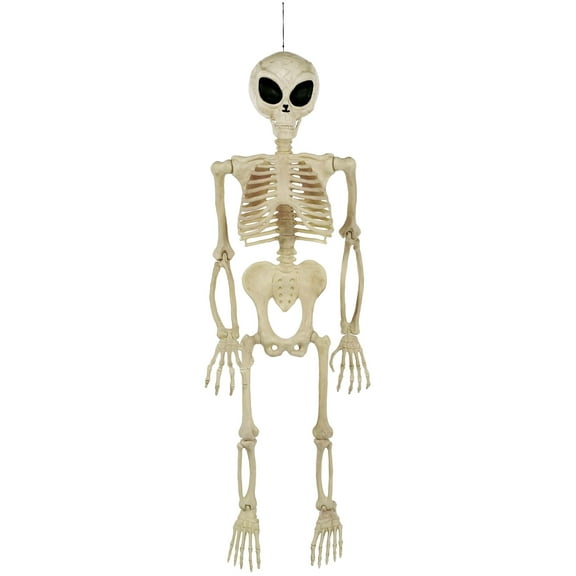 52" Alien Skeleton Decoration