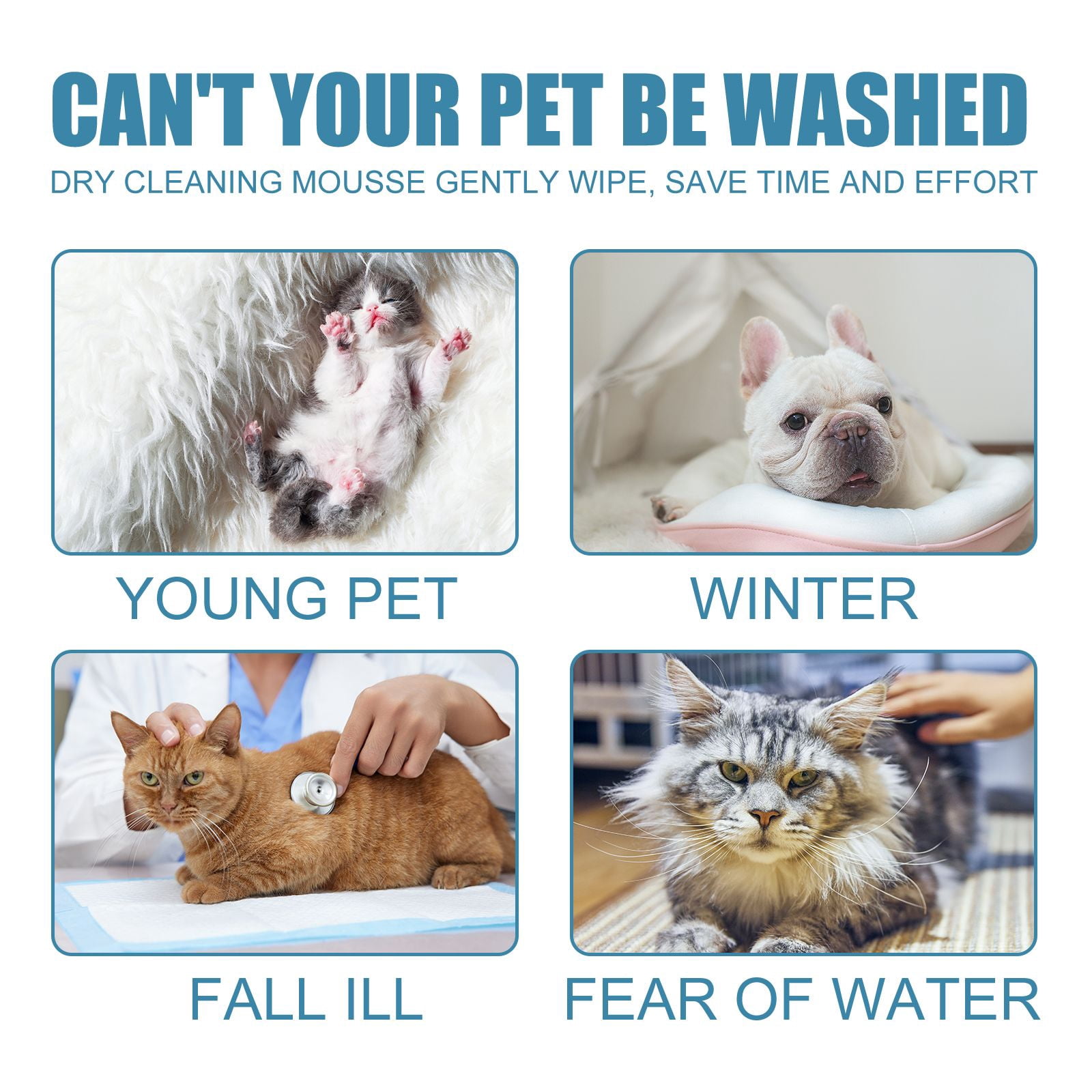 Alvantor Waterless Pet Dry Shampoo Mousse for Dogs & Cats, 2 fl. oz
