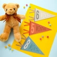 thumbnail image 6 of LZLINGMEI 14 Pcs Baby Felt Pennant Milestone Signs Monthly Milestone Banner Flags Pennant Triangle Banner Age Milestone Flag Signs for Boy Girl Newborn Birthday Party Decor(Assorted Colors), 6 of 7