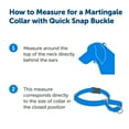 PetSafe Martingale Collar with Quick Snap Buckle