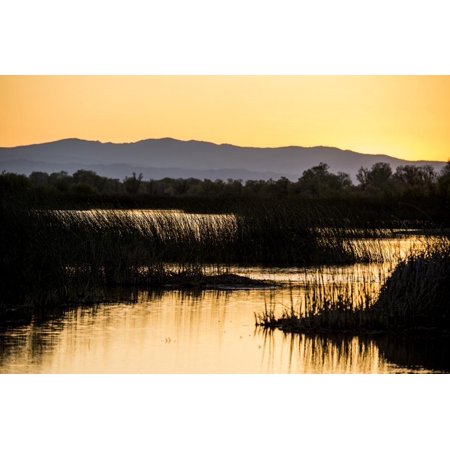 California, Gray Lodge Waterfowl Management Area, at Butte Sink Print Wall Art By Alison Jones