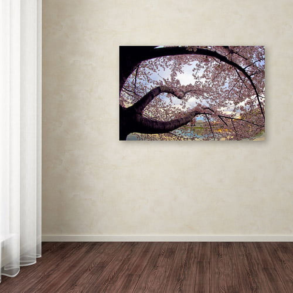 Trademark Fine Art "Cherry Blossoms 2014-1" Canvas Art by CATeyes