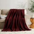 thumbnail image 6 of Homieway Large Burgundy Bed Blankets,Soft Twin Size Blanket for Sofa Couch, All Season Lightweight Microfiber Fluffy Flannel Fleece Throw Blanket,60" x 80", 6 of 6