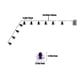 thumbnail image 3 of Uuiauoio 20 LED Purple Spider String Lights Battery Powered for Indoor Outdoor Halloween Party Yard Home Decorations, 3 of 6