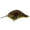 Ghost Craw, variant on Rat-L-Trap Mid-Range 06 Crankbait Fishing Lure, Silveradow, 1/2 oz., 6MR836