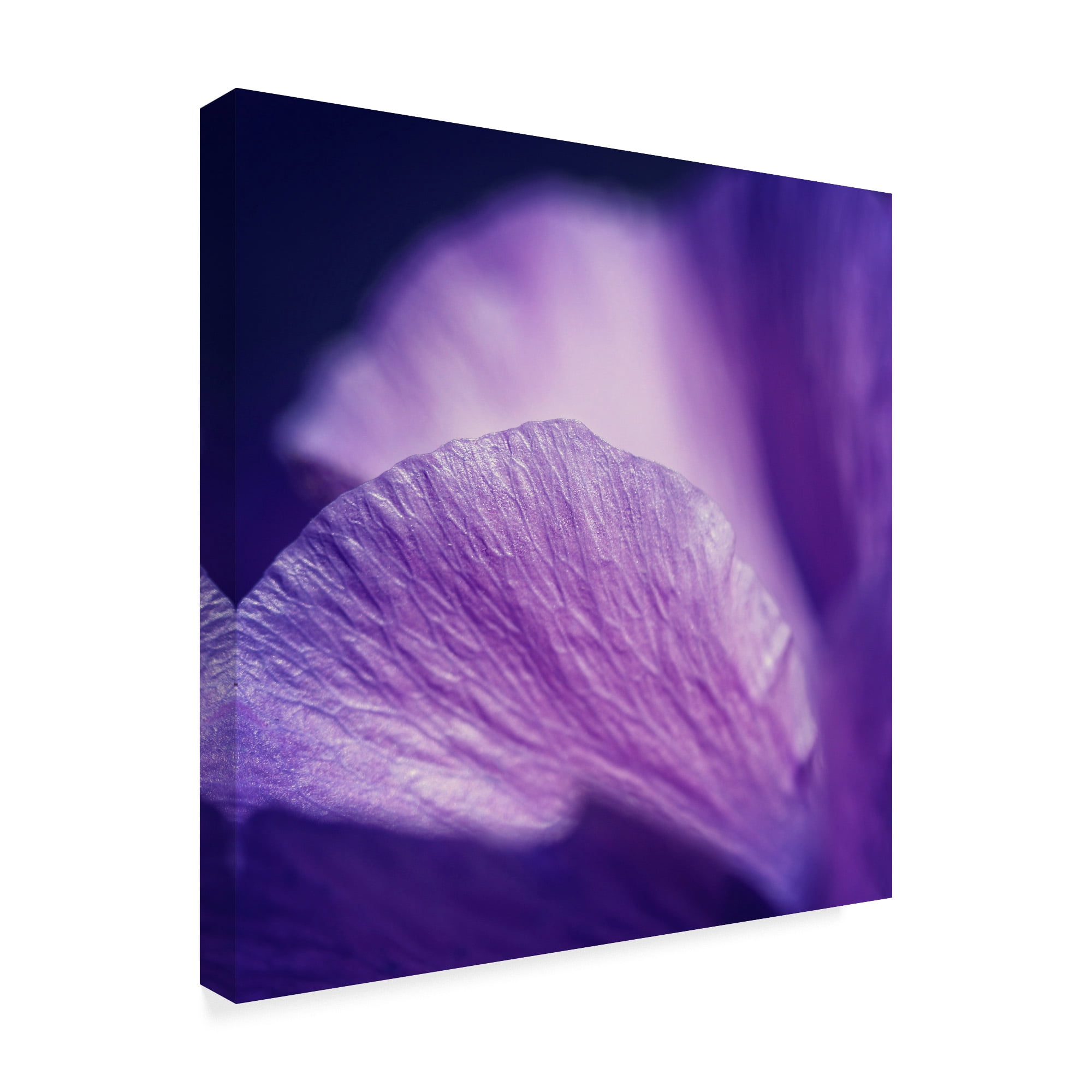 Trademark Fine Art 'Shades Of Purple' Canvas Art by Beata Czyzowska Young