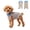 Sky Blue, variant on Dog Surgery Recovery Suit, Soft Anti-Licking Bodysuit, E-Collar & Cone Alternative for Post-Surgery Dogs and Cats(White,XS)