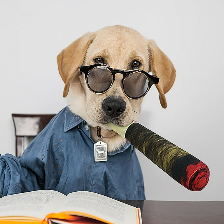 Cool puppy stuff 2025