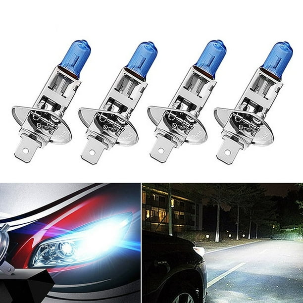 H1 2024 6000k halogen