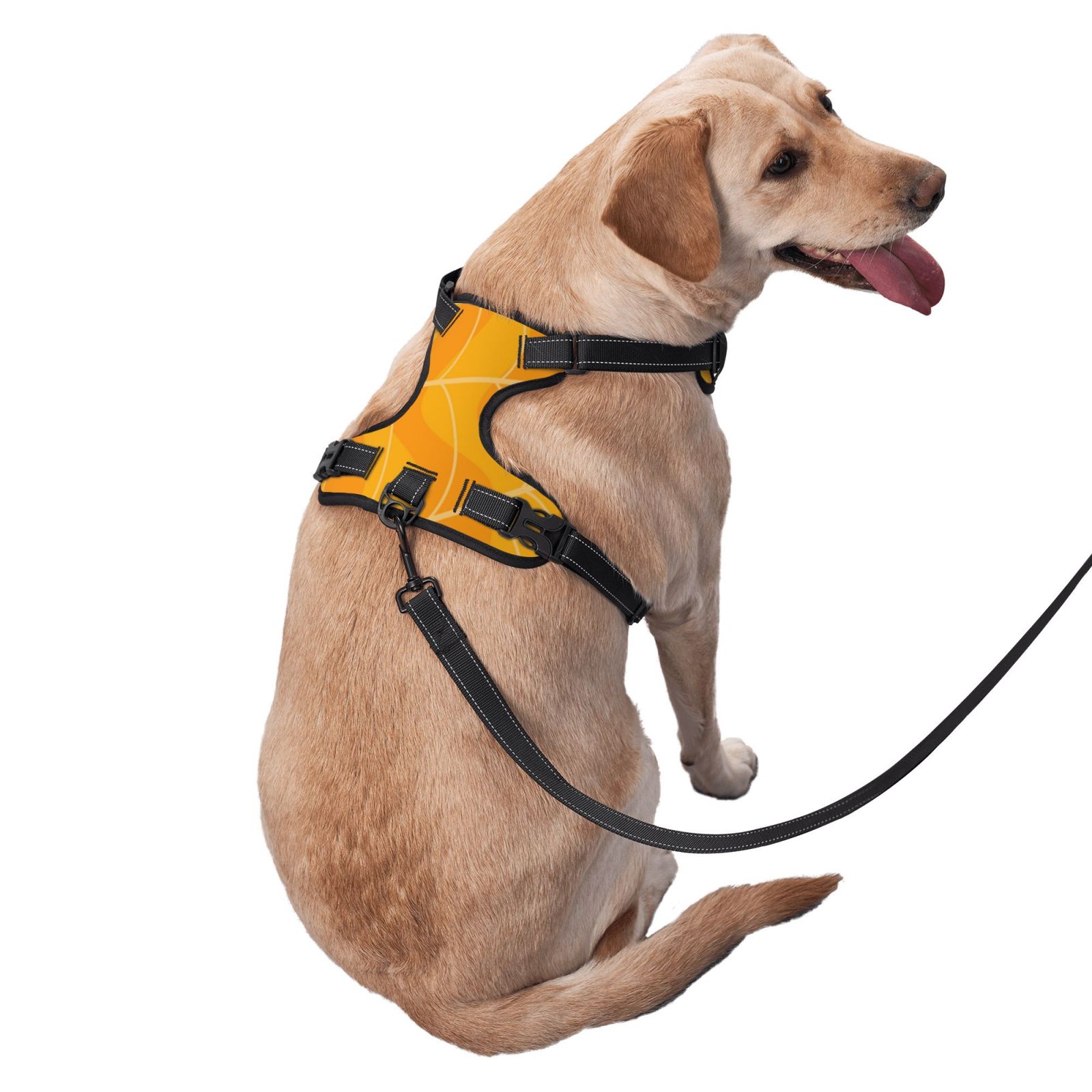 Vsdgher Happy Halloween Dog Harness, No-Pull Pet Harness, Dog Vest, Pet Vest for Small to Large Dogs-Large
