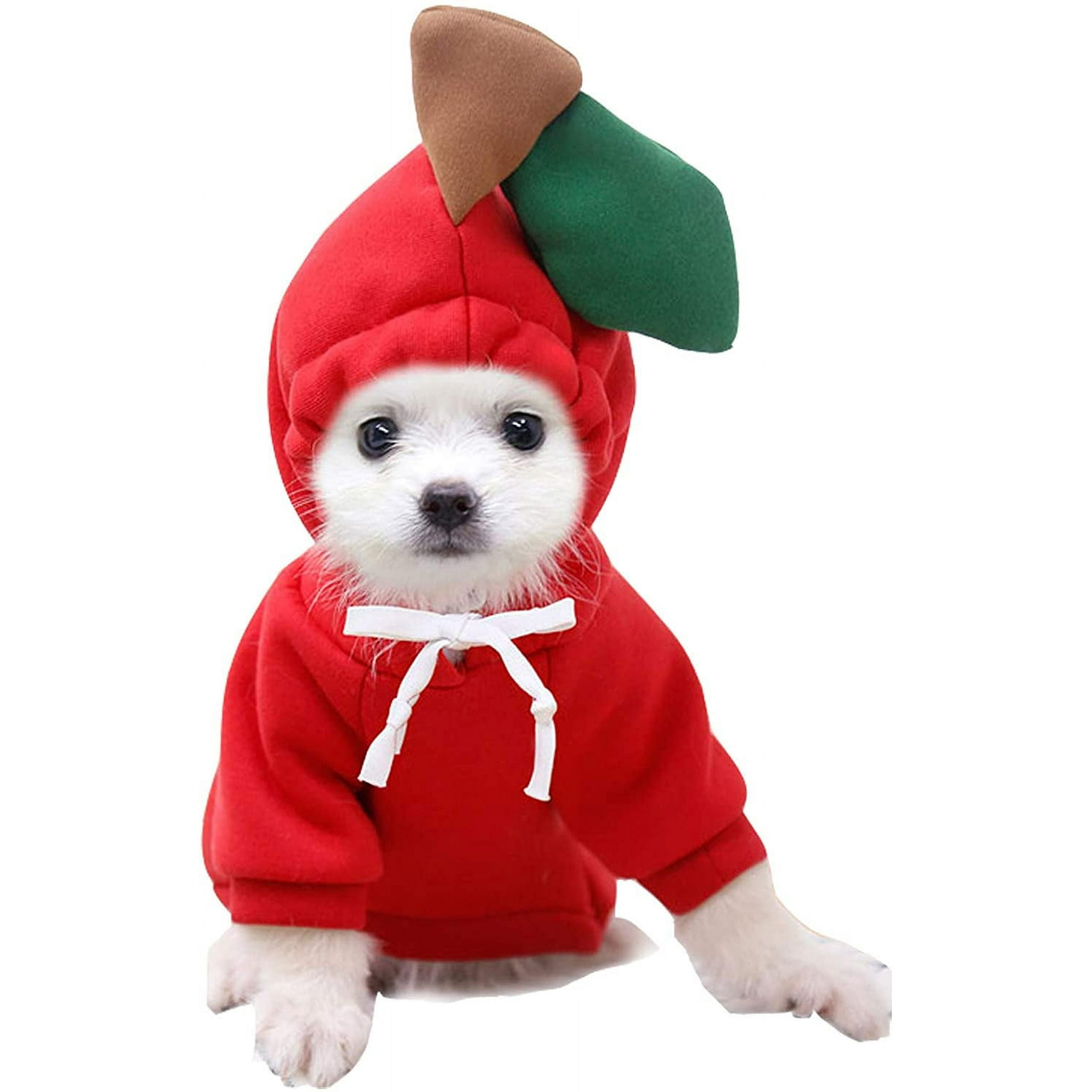 Dog clothes medium size 2025