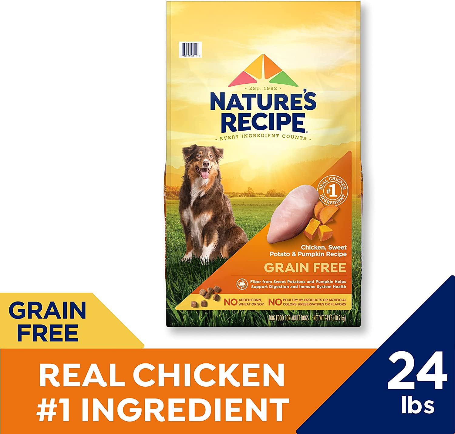 Nature's recipe clearance vegetarian dog food