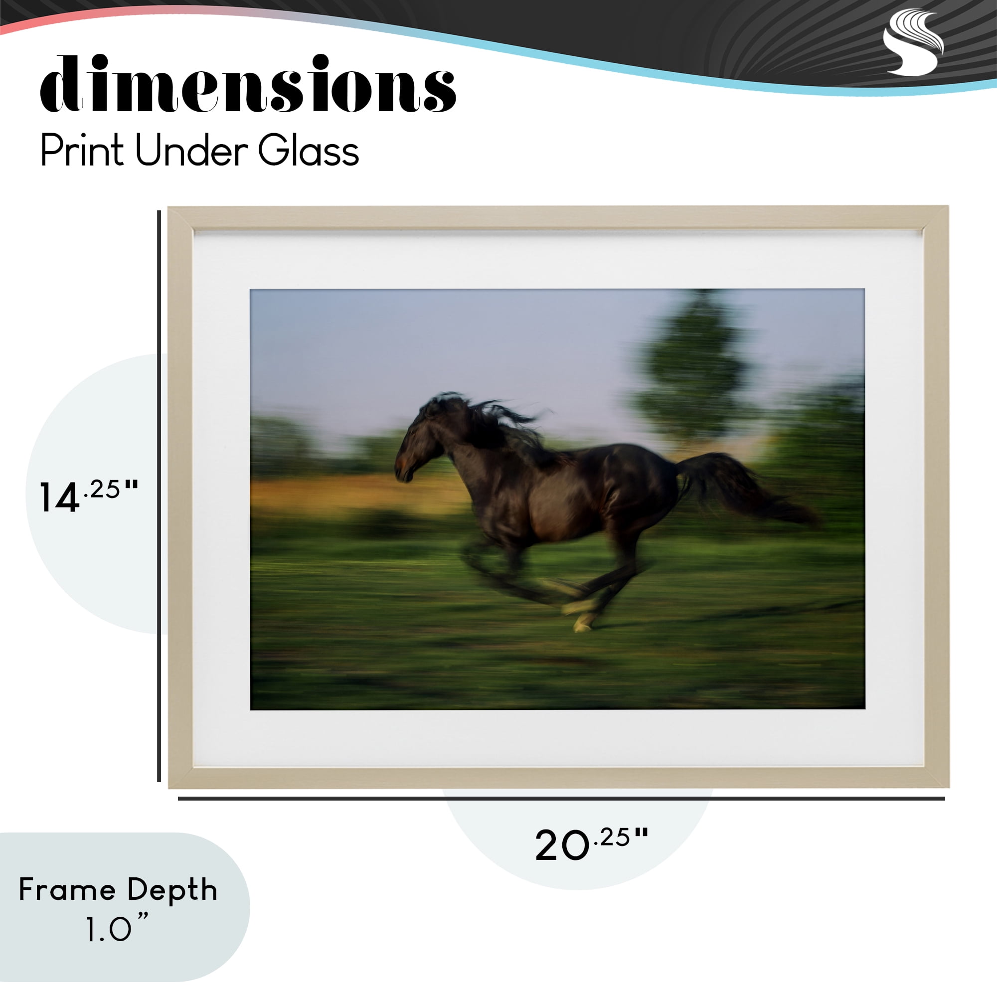 Stupell Industries Dashing Camargue Racehorse Birch Framed Print Under Glass, design by Scott Stulberg
