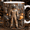Black, variant on Factory Worker Mug 2D Printed 3D Effect Industrial Coffee Cup Gift