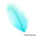 thumbnail image 2 of Zucker Feather Products Ostrich Feathers-Drabs - 9-12" - Candy Pink, 2 of 5