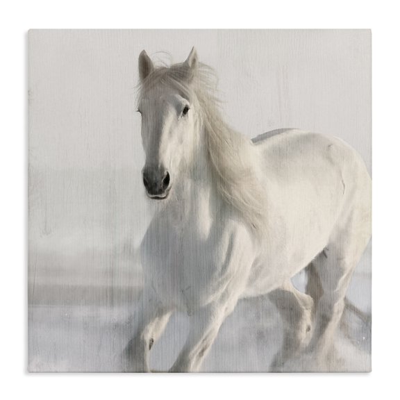 Stupell Industries Traditional Galloping White Stallion Canvas Art, 17 x 17, by Kim Allen