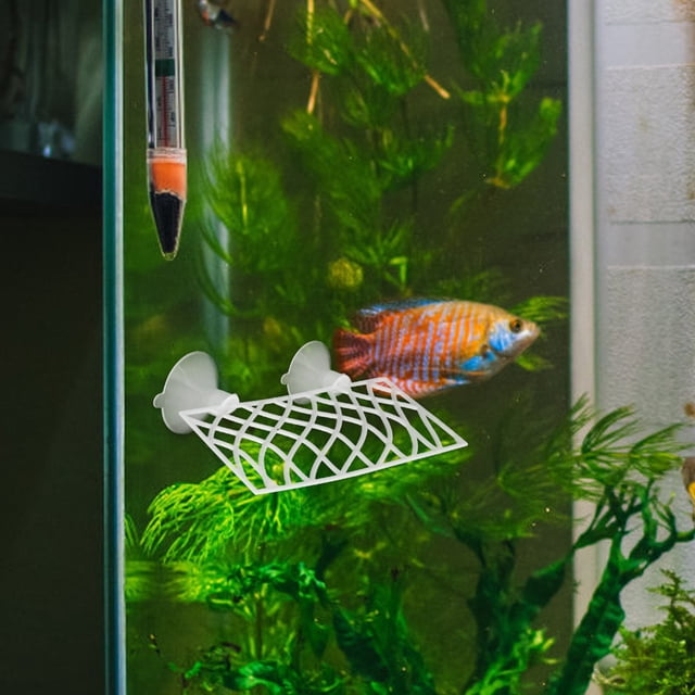BRIGHTFUFU 1Jgo Accesorio Para Acuario Con Estético Para Y De Betta