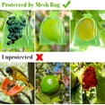 thumbnail image 5 of 50/100pcs Fruit Protection Bags , Green Netting Cover Bags Drawstring Mesh Fruit Protectors Pest Barrier for Grapes Mango Fruit Trees Veggies Garden, 5 of 6