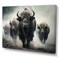 thumbnail image 2 of Designart "Gentle Guardians Grey Buffalo I" Animals Wall Art Print, 2 of 5