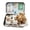 🥝 Coffee_New#462, variant on Mini Plush Bear in Tin Box - Cozy Plush Companion Gift for - Portable Comfort Keepsake with School-Themed Metal Tin - First Day Memory Memento