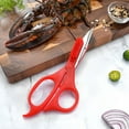 thumbnail image 4 of Heavy Duty Kitchen Scissors Stainless Steel Purpose Utility Cutter For Meat Fish Vegetables Seafood Chicken 2 In 1 Design With Cleaning Brush, 4 of 7