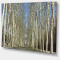 thumbnail image 2 of Jardins de Versailles - Art sur Toile Forêt Moderne, 2 of 4