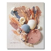 Ocean Starfish Sea Shell Beach Bathroom # 6 Wall Picture 8x10 Art Print