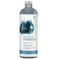thumbnail image 3 of RUSK Puremix Activated Charcoal Purifying Shampoo & Conditioner Set 1L Large Size, 3 of 5