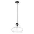 thumbnail image 3 of IN21251BK-Acclaim Lighting-Torrel 1-Light Pendant - 13.75 Inches Wide by 11.25 Inches High-Matte Black Finish, 3 of 5