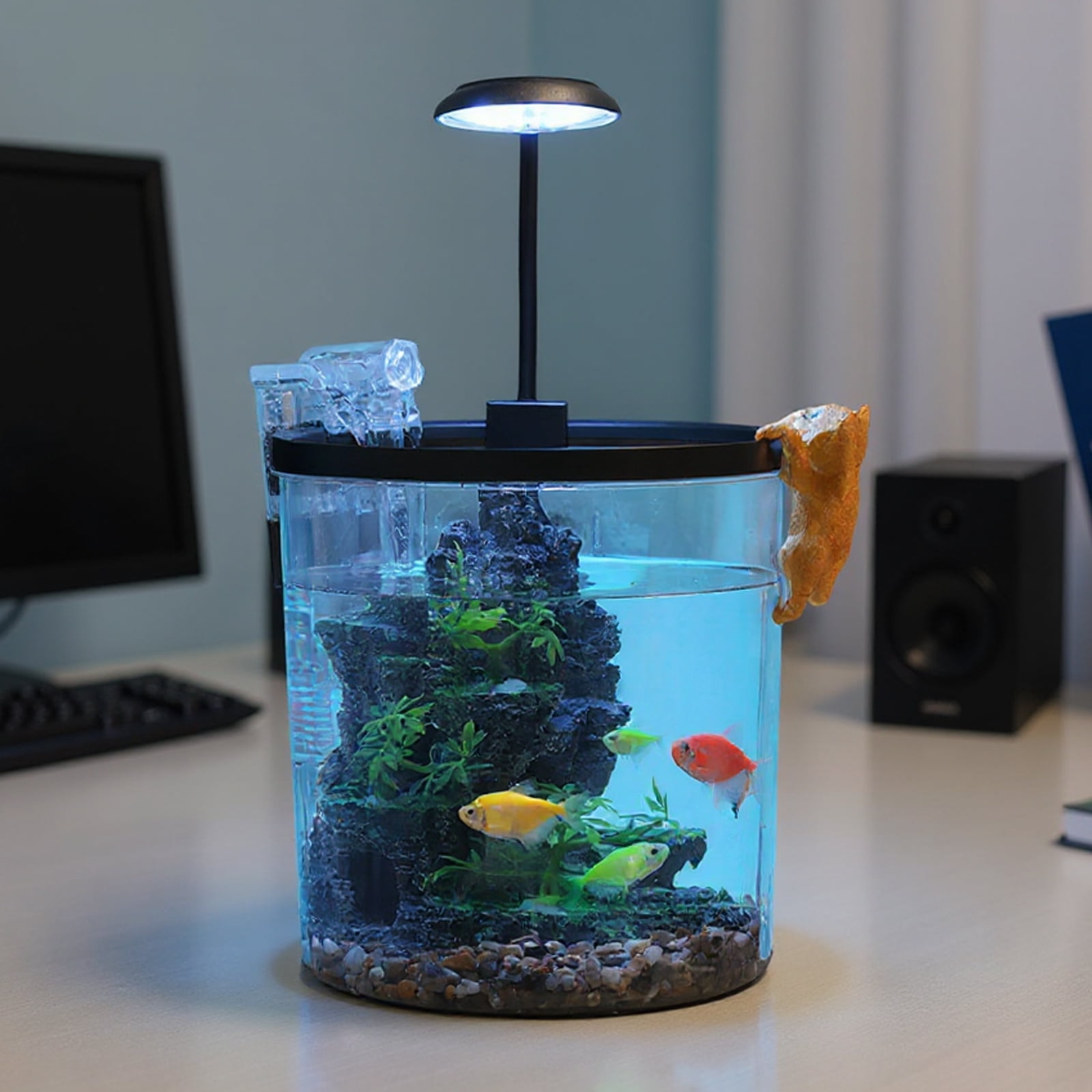 Mini Fish Tank with Filter and Light – 3.5 Gallon Small Aquarium Starter Kit, 6-Piece Tall Goldfish or Beta Fish Tank Set