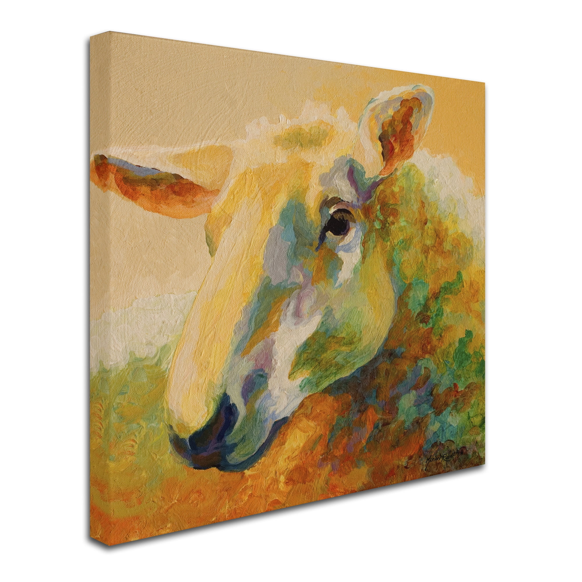 Trademark Fine Art 'Ewe Study III' Canvas Art by Marion Rose