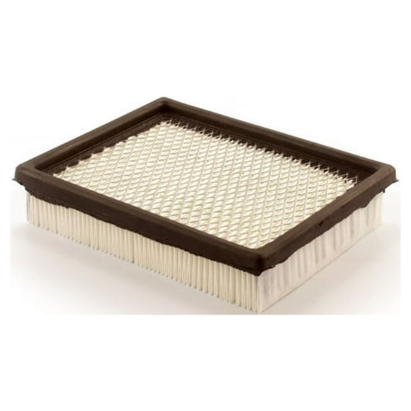 Buick Lesabre Air Filter