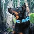 thumbnail image 2 of Pet Artist Tactical Dog Collar Military Heavy Duty Pet Collars With Metal Buckle and Handle, 2 of 6