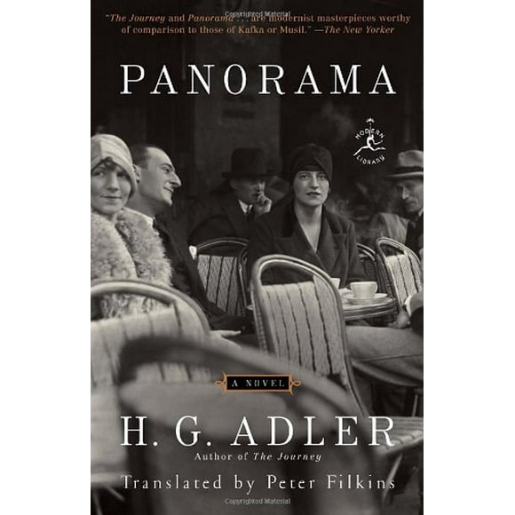 Pre-Owned Panorama : A Novel 9780812980608