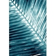 thumbnail image 2 of Allen, Kimberly 13x18 Black Ornate Wood Framed with Double Matting Museum Art Print Titled - Tropical Blue 2, 2 of 4