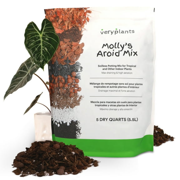 Molly's Aroid Mix - A Premium Tropical Plant Soilless Potting Mix by VERYPLANTS