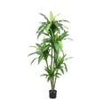 thumbnail image 2 of The Mod Greenhouse 48" Artificial Dracaena Plant in Black Matte Planter's Pot, 2 of 5