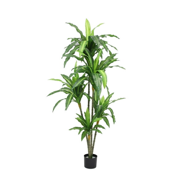The Mod Greenhouse Artificial Dracaena Plant in Black Matte Planter's Pot Variegated - 67