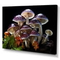 thumbnail image 2 of Designart "Enchanting Pearl Mushrooms" Vegetables Wall Art Prints, 2 of 7