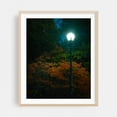 thumbnail image 2 of Lamp in Delaware Park, Buffalo - Buffalo New York Photography Autumn Garden Woods Moody Nature Unframed Wall Art Print 18 x 24 inches, 2 of 13