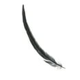 thumbnail image 4 of Uxcell 10-12 Inch Plumas de gallo, paquete de 50 plumas naturales al por mayor para manualidades estilo 1, negro, 4 of 6