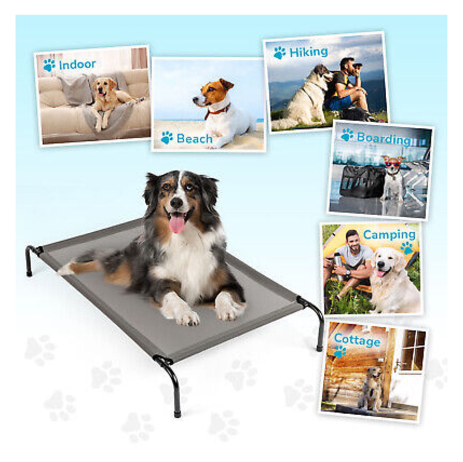 The Original Coolaroo Elevated Pet Dog Bed for Indoors