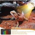 thumbnail image 2 of Tortoise Heat Lamp, Reptile Heat Lamp Tortoise Heat Light Basking Lamp With 2 * 50 W Bulbs, UVA UVB E27 Reptile Basking Lamp With 360° Swivel Clamp Stand For Turtle Snake Frog (White), 2 of 7