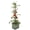 Green, variant on BUZZY Seeds Self-Watering Vertical Tomato Planter with Trellis – 1.2 Gal Reservoir, Large Capacity Planter for Tomatoes & Climbing Plants (Gray)