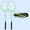 Green, variant on LOVIVER 2 Piece Badminton Racket Set Badminton Equipment Badminton Racket for Adults and with Bag