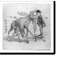 thumbnail image 2 of Historic Framed Print, [Cartoon showing Theodore Roosevelt looking at bull moose propped up with boards].McKee Barclay., 17-7/8" x 21-7/8", 2 of 9