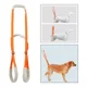 thumbnail image 3 of Arnés Para Levantar Perros Mascotas Para Perros Mayores, 3 of 8